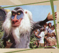 affe