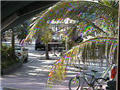 Webcam News Café