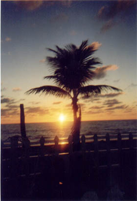 sun3sm